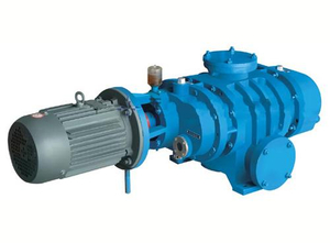 ZJ Roots Vacuum Pump