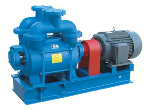 SK Single Stage Liquid Ring Vacuum Pump