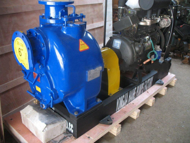 3 Hp Portable Electric Powered Trash Pump 8 Inch