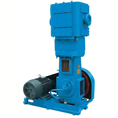 WLW Vertical Reciprocating Piston Oil Free Vacuum Pump