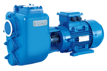 Automatic Self Priming Irrigation Pump for Lake with Float Switch