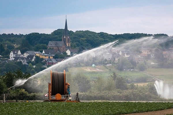 irrigation-5296006_640 (1).jpg